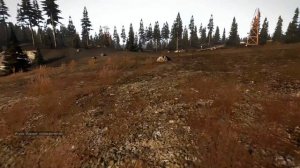 ArmStalker: Обзор Семёныча Кровососкинова