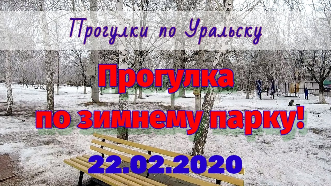 Зимний парк в Уральске, встреча с моржами.
