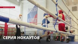 Серия нокаутов: Первенство Ленобласти по боксу проходит в Сертолово
