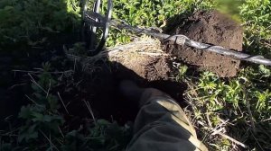 ПОВЕЗЛО В ЗАБРОШКЕ НЕОЖИДАННАЯ НАХОДКА ИЗ ЗЕМЛИ ПОИСК ЗОЛОТА С МЕТАЛЛОИСКАТЕЛЕМ КОП МОНЕТ В ДЕРЕВНЕ