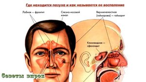 ➤Почему нельзя сильно сморкаться➤