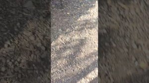 прокат мотоциклов