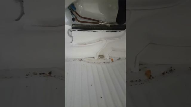 Холодильник Whirpool.Выросла снеговая шуба.Проверка всех узлов. Прочистка дренажа.Интересно и в др смотреть онлайн