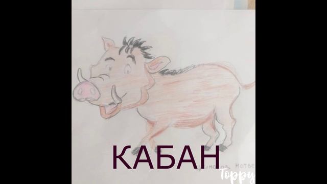 Дикие животные