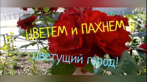 ЦВЕТЕМ И ПАХНЕМ