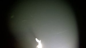 Подводная охота на Ангаре