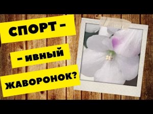 Спорт или температура? АВ-Метаморфоза отказывается укореняться в ноябре.