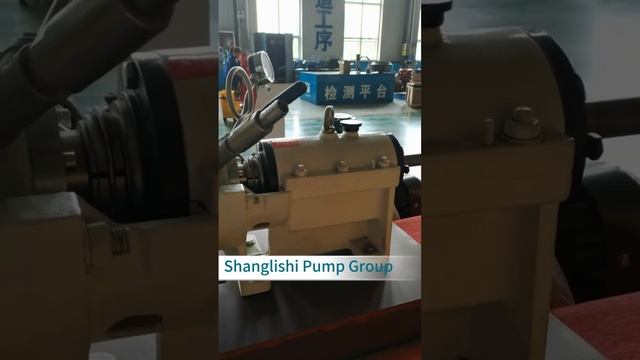 Shanglishi manufacture single stage centrifugal desulphurization pump