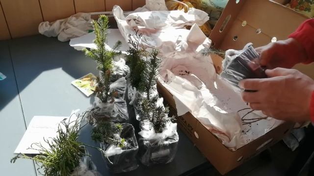 ДОЛГОЖДАННАЯ ПОСЫЛКА С ГАРШИНКИ.
