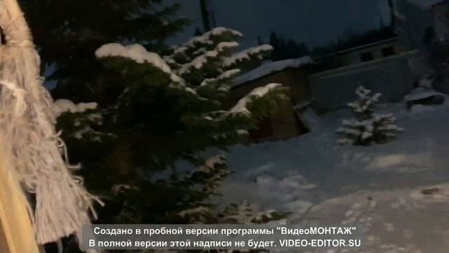 ПЕРВАЯ ПРИВИВКА ЩЕНКА! щенок. немецкая овчарка смотреть онлайн