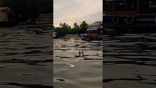 Mini Vlogger Explores the Shores of Alleppey - What Will She Discover?