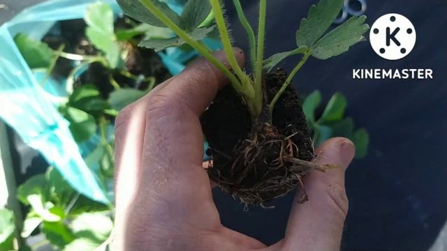 ЛЁГКАЯ И БЫСТРАЯ ПОСАДКА КАССЕТКИ! СУПЕР ИНСТРУМЕНТ, КОТОРЫЙ ЕСТЬ У КАЖДОГО ДОМА