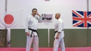 kicks Bunkai Strategies 2014 week 36 koryu karate oyo jutsu