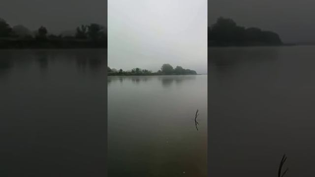 Верблюд-рыбалка-тюмень