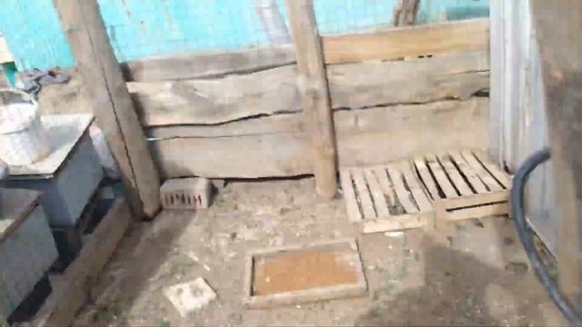 Обзор участка Давно не снимали смотреть онлайн