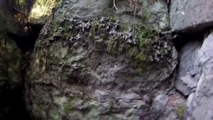 Рыбалка. Выборгский залив. Сентябрь 2019