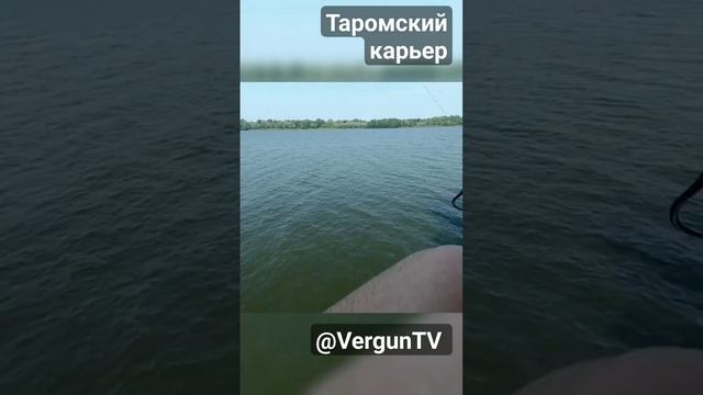 Шикарный карась на Таромском карьере! #рыбалка_в_каменском #verguntv #река #весенний_клев #fishing