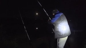 Рыбалка на Донки крокодилы в городе. Тверь р. Волга. Сомики и лещара голодные все!