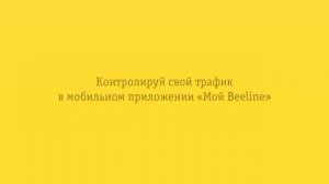 Контролируй свой трафик в мобильном приложении «Мой Beeline