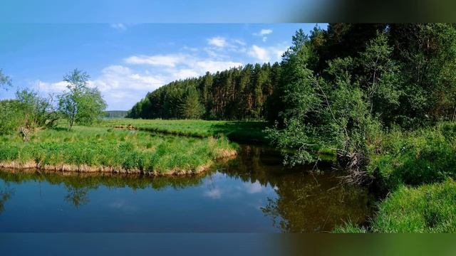 «Берегите родную природу» смотреть онлайн