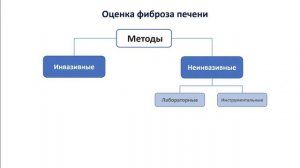 Вирусный гепатит С: современное состояние проблемы