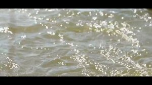 ЛУЧШАЯ СНАСТЬ НА ТОЛСТОЛОБА. РЫБАЛКА НА КРАСИВЕЙШЕМ ВОДОЕМЕ. ВОТ ЭТО НАПОРОЛИ ЛОБАТОГО ВЕСНОЙ 2022