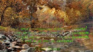 Deep Green Summer - Bernward Koch