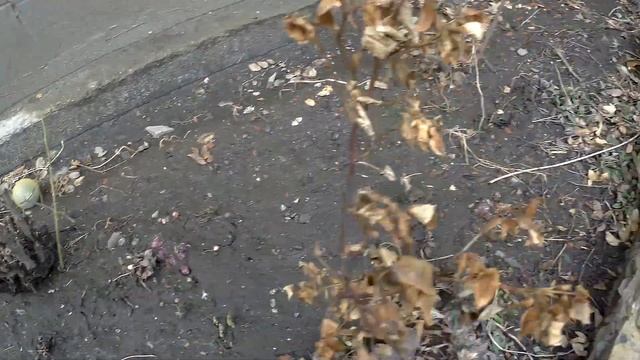 ПРОСНУЛСЯ,ПОКУШАЛ,ПОРАБОТАЛ,ПОГОВОРИЛ И .....НА РАБОТУ!!!!Деревенский влог смотреть онлайн