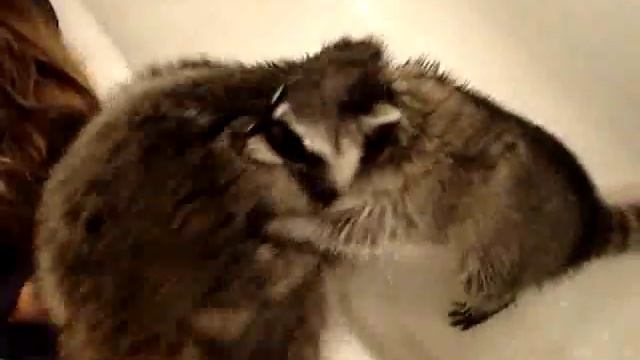 Кузя пристаёт к девушке в ванной часть 2 смотреть онлайн