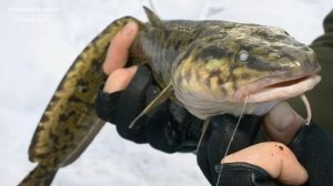 Календарь рыбака с 09 по 15 Октября 2023 Прогноз клева рыбы Лунный Календарь рыбака 2023!