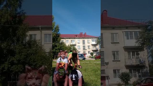 VID-20240830-WA0005.mp4