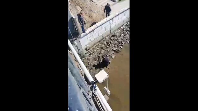 AST-NEWS.ru: В центре Астрахани ловят рыбу руками смотреть онлайн