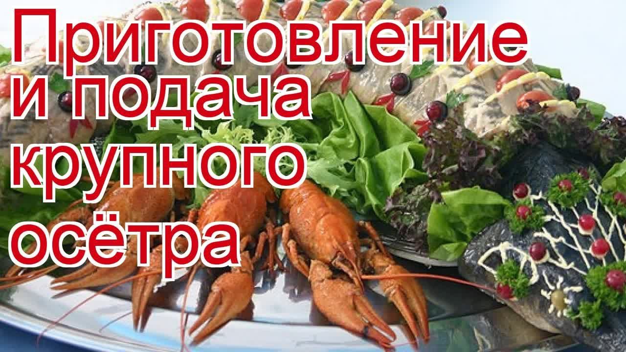 Рецепты из осетра - как приготовить осетра пошаговый рецепт - Приготовление и подача крупного осётра