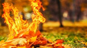 КАК ПОКАЗАТЬ ОСЕНЬ. Юрий Левитанский. Стихи