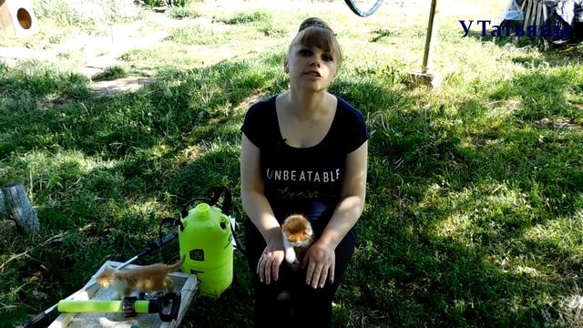 НАШАТЫРНЫЙ СПИРТ от ТЛИ на розах, плодовых деревьях, кустарниках и других растениях! смотреть онлайн