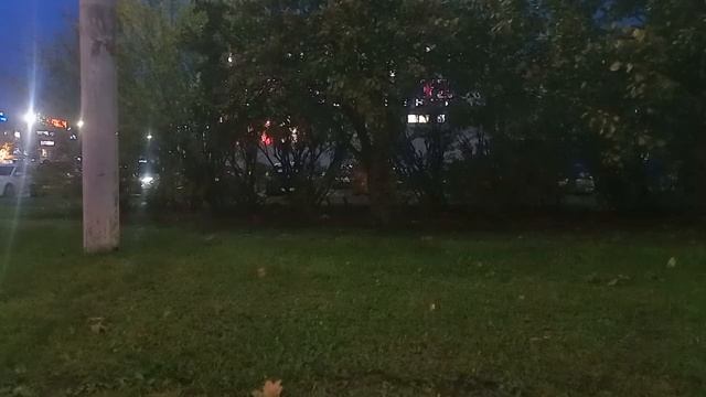 Череповец | Поездка на автобусе НефАЗ-5299-40-57 (В001РУ_35) | Маршрут 31 смотреть онлайн