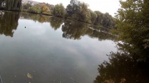 Agarron 110SF SR от Pontoon 21. Щуку ловит!