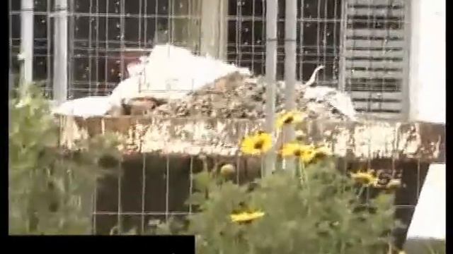 sense metro a palma смотреть онлайн