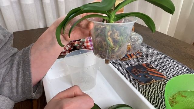 СОВМЕСТНАЯ ПОСАДКА ИРЕН ДОБКИН смотреть онлайн