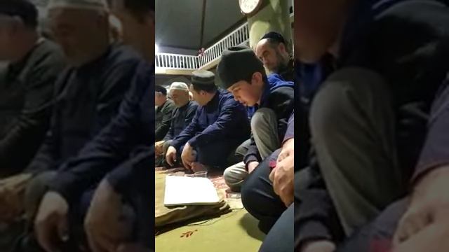 турчи на даргинском смотреть онлайн