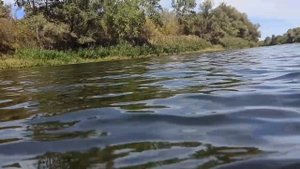 Р. п. Красный Яр. Волгоградская обл.(02.09.22)