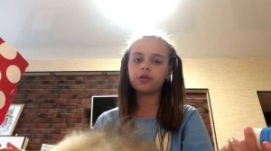 Что нужно для содержания щенка шпица в квартире?