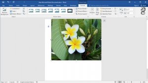 How to make an image fill the entire page in Word Using full size of page for an image
