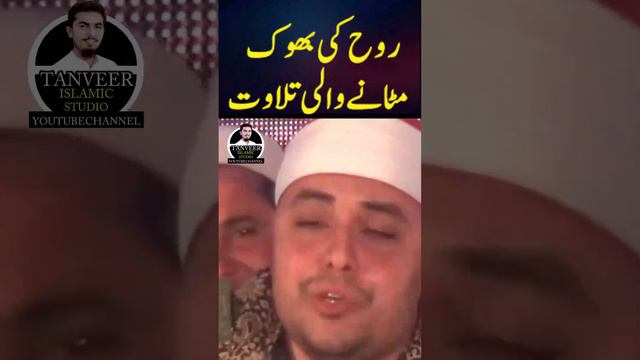 Misri Qari Best Tilawat | Best Quran Recition In The World 2023 | Tilawat |Tanveer Islamic Studio