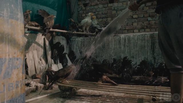 All That Breathes (Всё, что дышит) 2023 смотреть онлайн