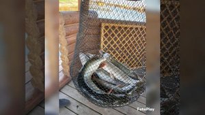 Отдых на Азовском море - Пересыпь
