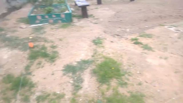 Планировка участка. Подготовка под отмостку. смотреть онлайн