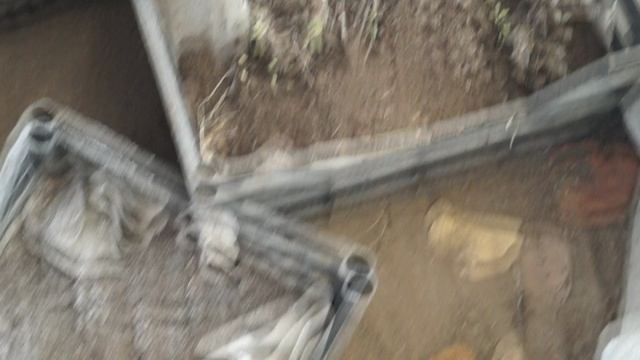 20191109165318