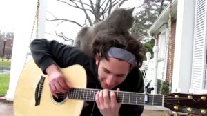 Le chat et le guitariste