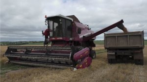 Первый день уборки пшеницы комбайном КЗС 7